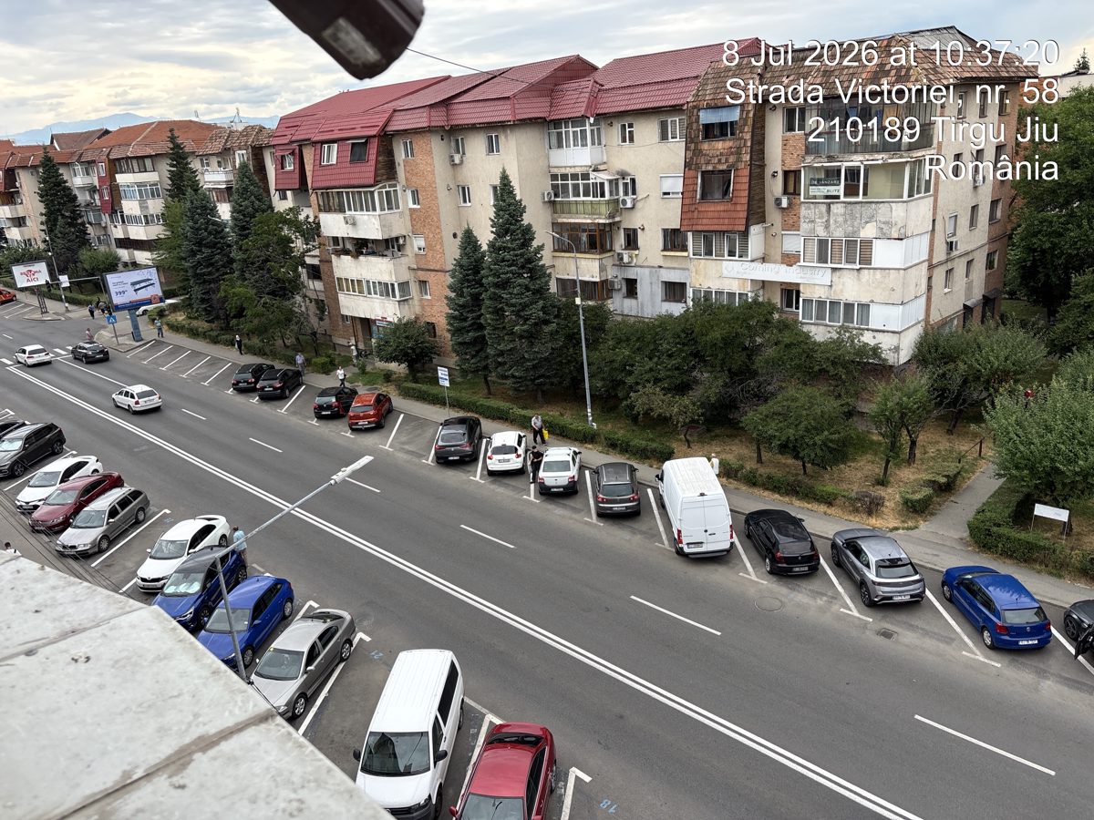 Miniatură 11