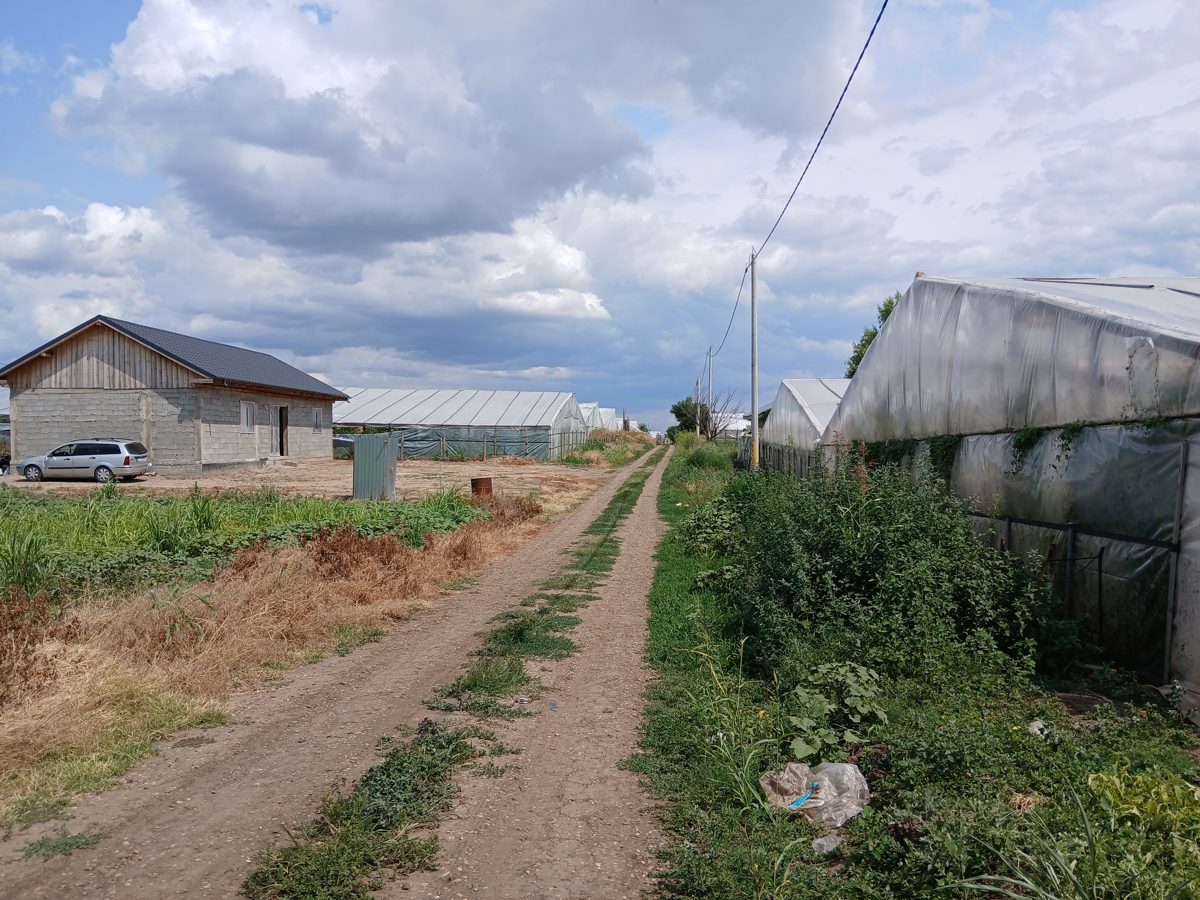 Teren agricol - 1