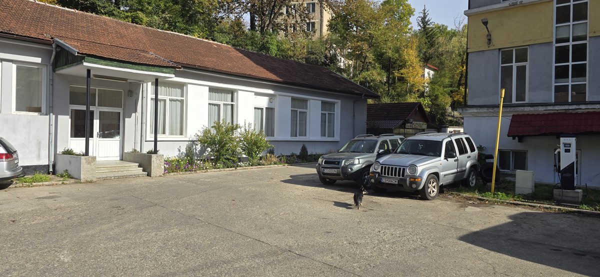 Miniatură 2