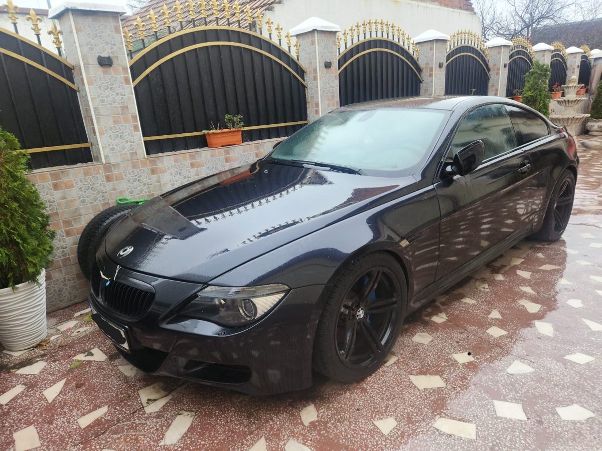Miniatură 3