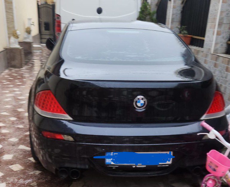 Miniatură 5