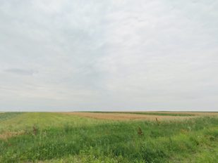 Miniatură 2