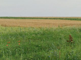 Miniatură 4