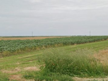 Miniatură 6