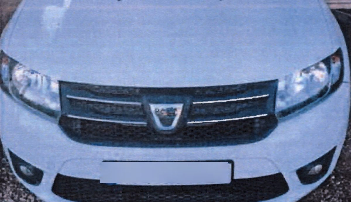 Miniatură 3