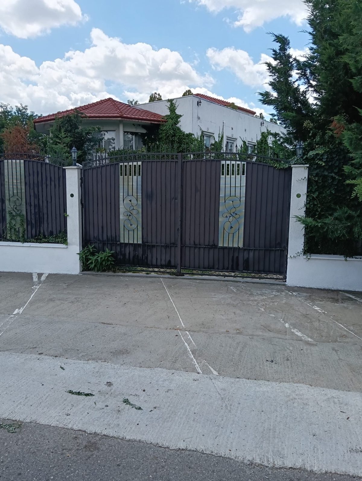 Miniatură 2