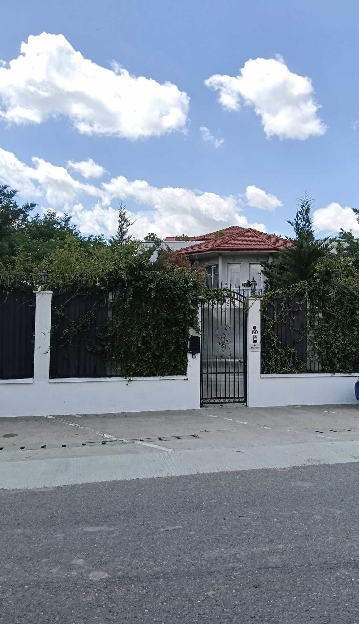 Miniatură 5