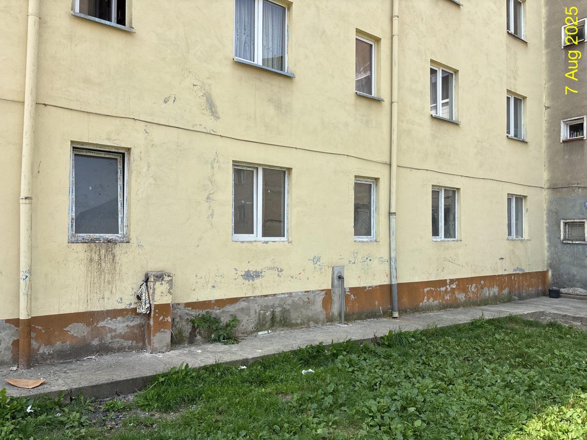 Miniatură 3
