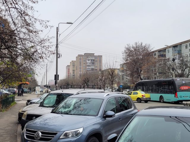Miniatură 6