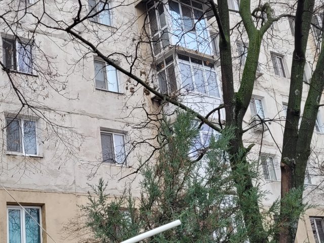 Miniatură 9