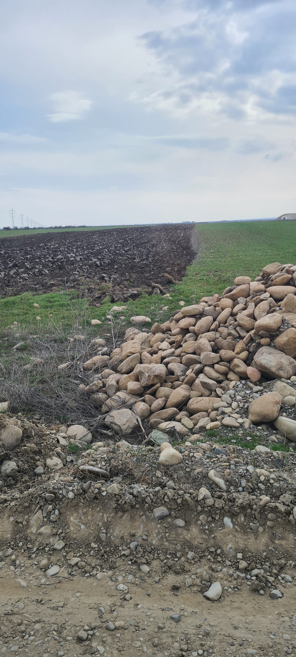 Teren agricol extravilan arabil - in suprafata de 3750 MP 1