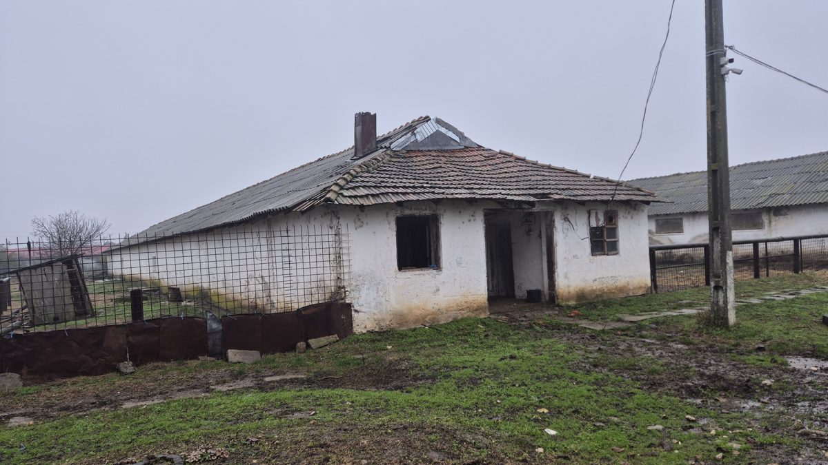Miniatură 2