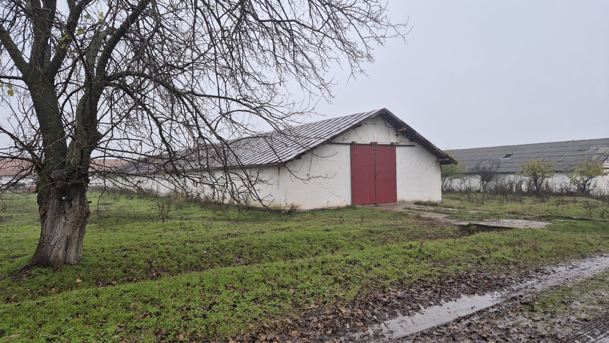 Miniatură 18