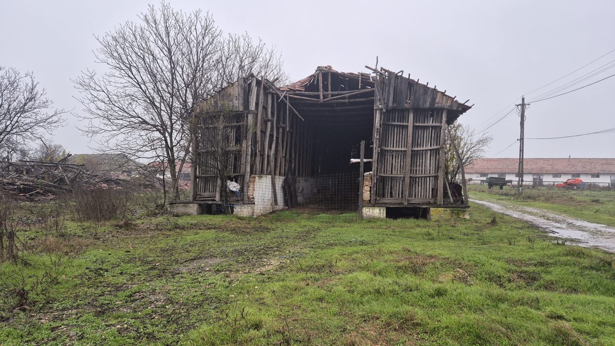 Miniatură 20
