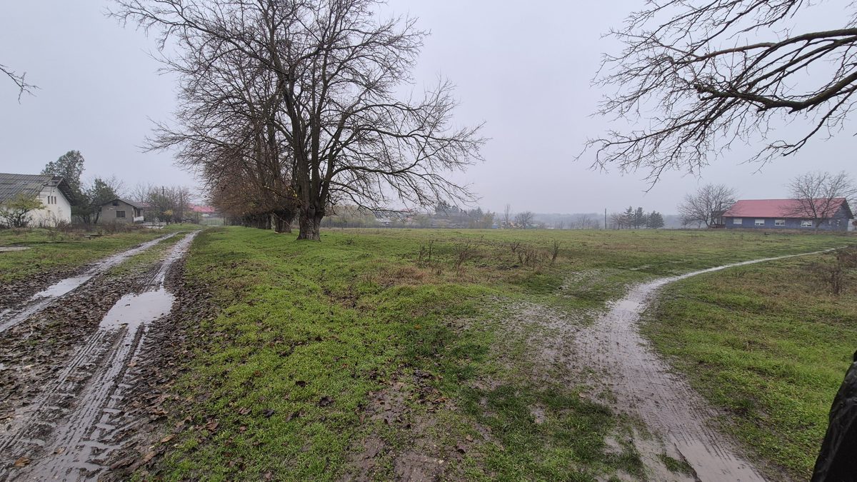 Miniatură 4