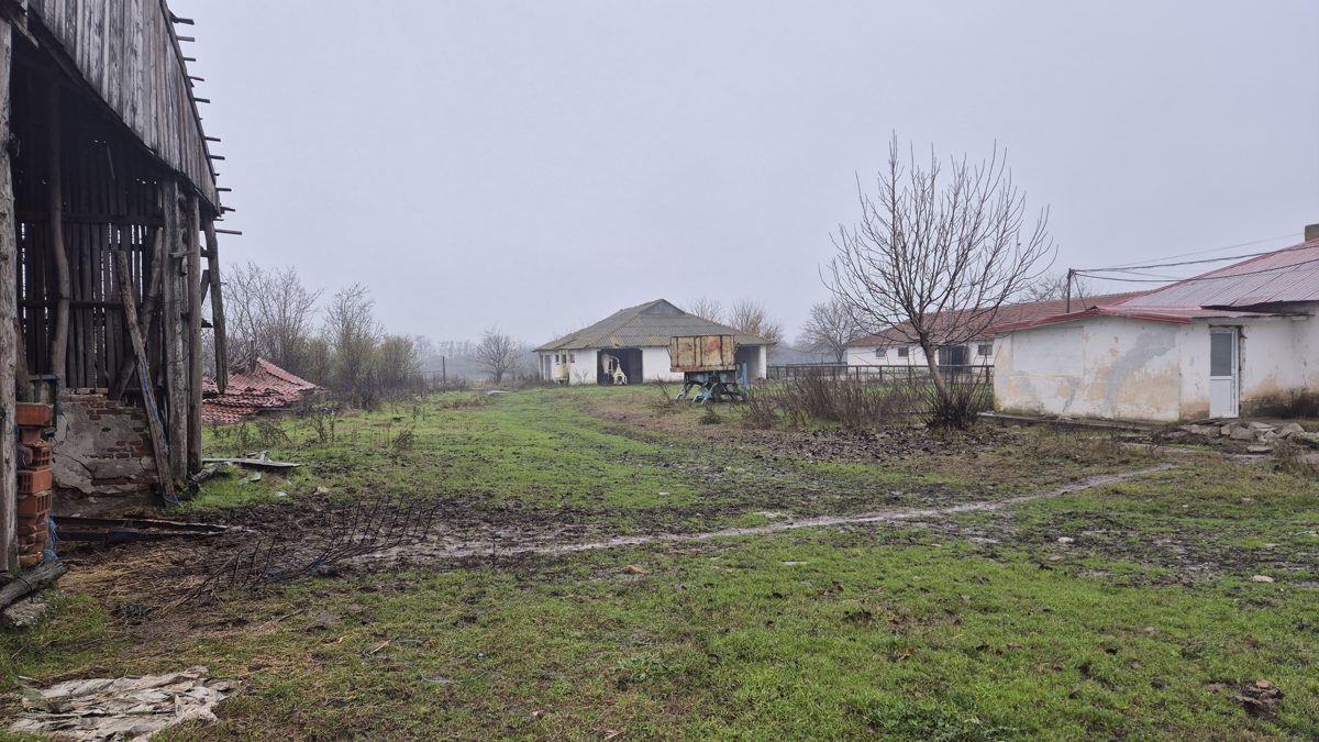 Miniatură 7