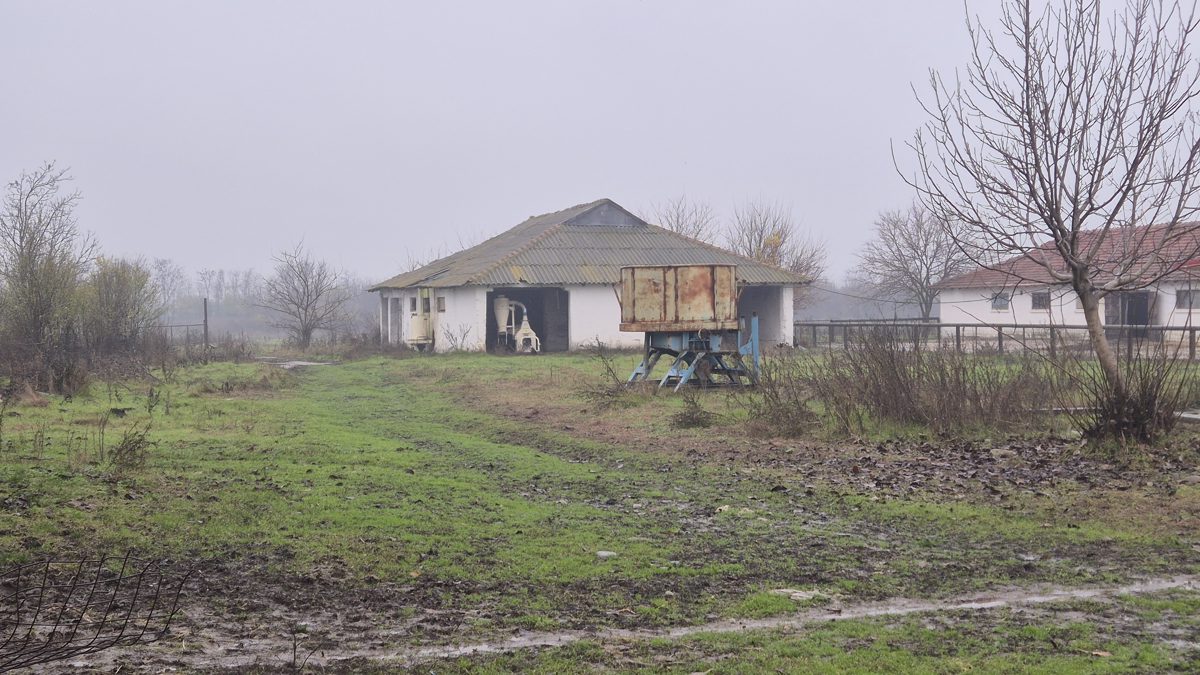 Miniatură 8