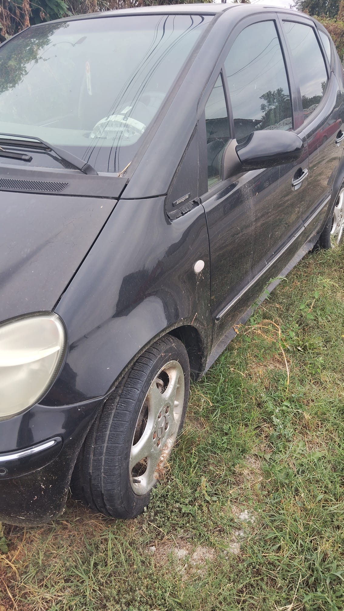 Miniatură 4