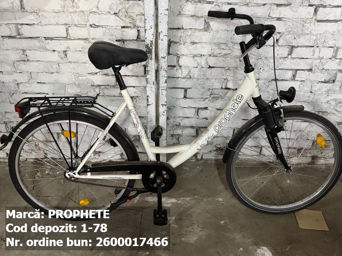 Bicicleta- Prophete 1