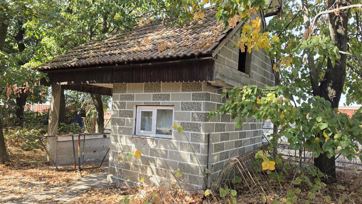 Miniatură 5