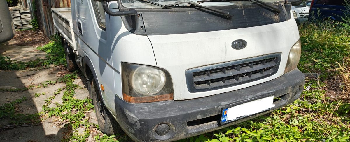 Miniatură 6