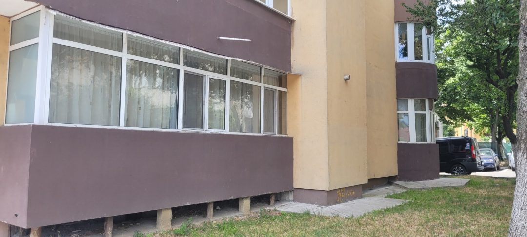 Miniatură 7