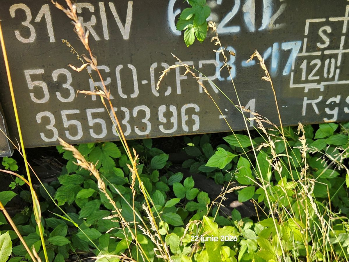 Miniatură 2
