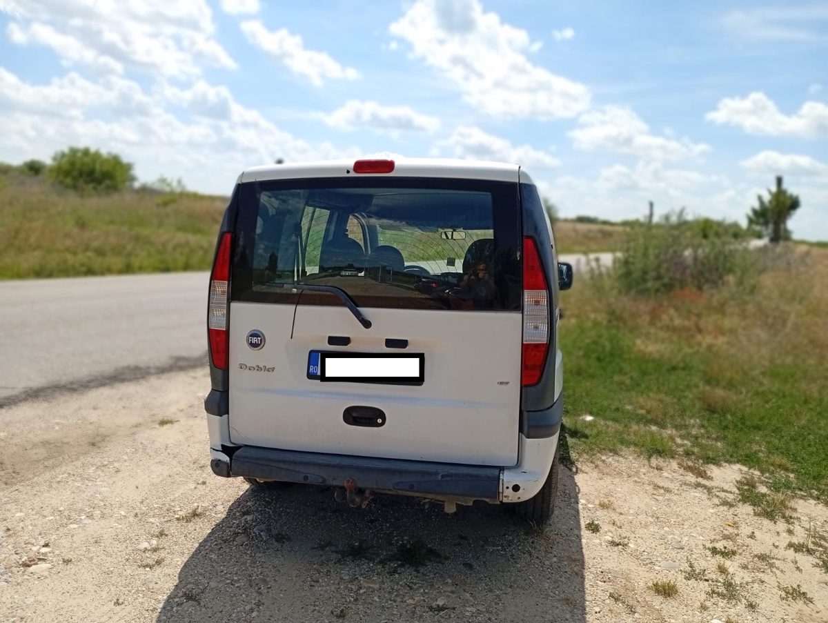 Miniatură 3