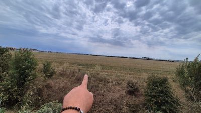 Teren agricol - Extravilan in suprafata de 9332 MP