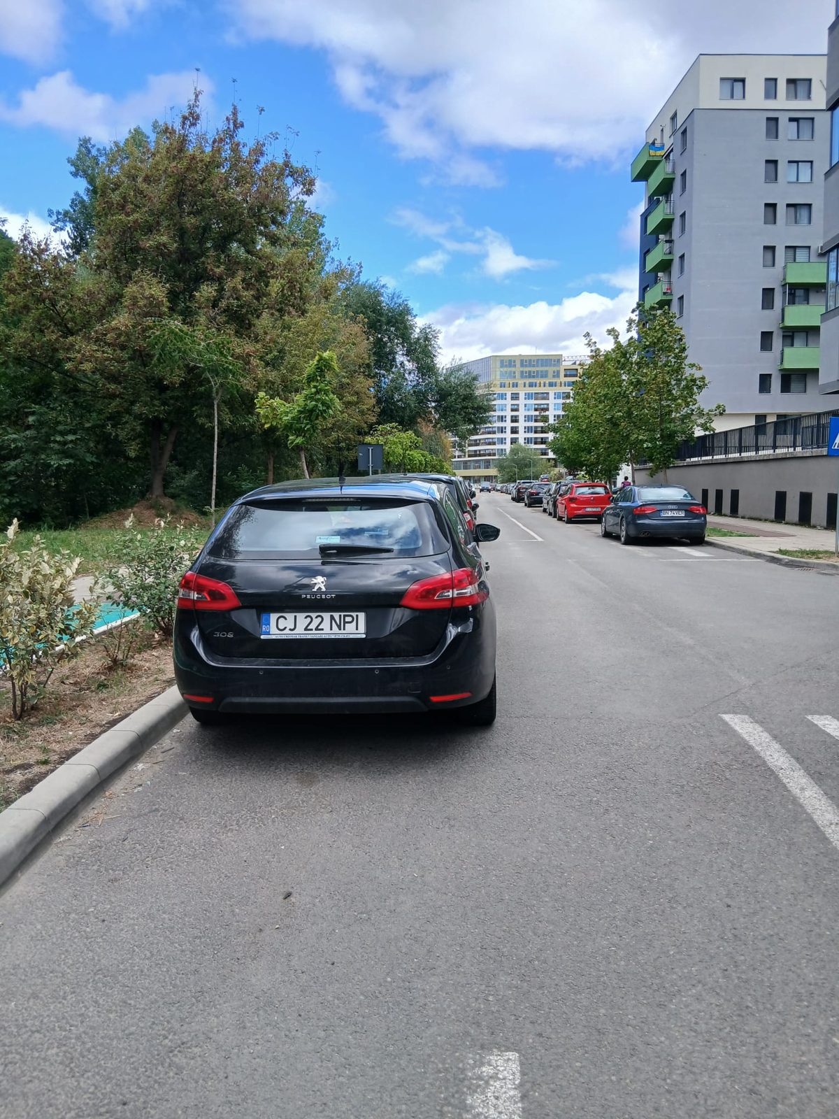 Miniatură 4
