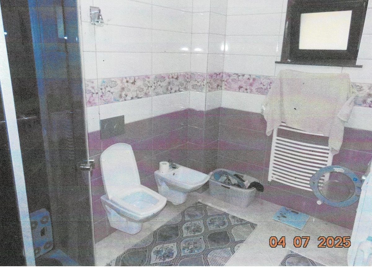 Miniatură 8