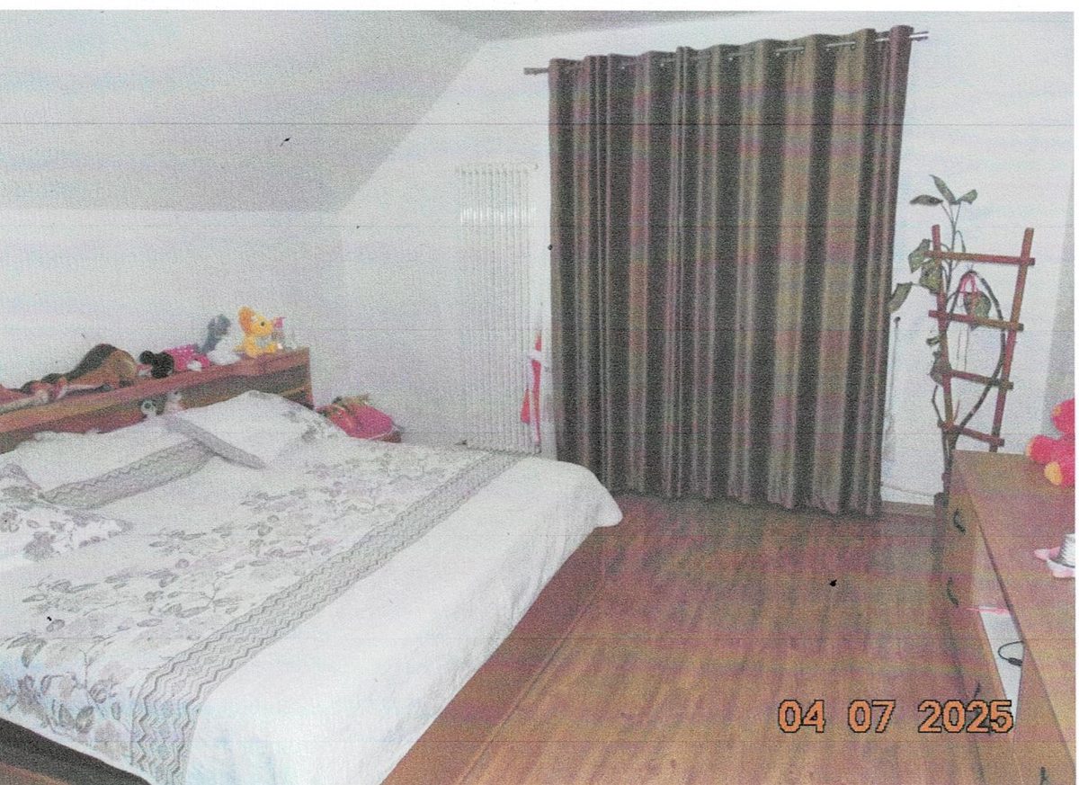 Miniatură 9