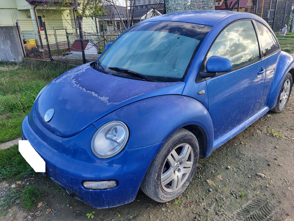 Miniatură 3