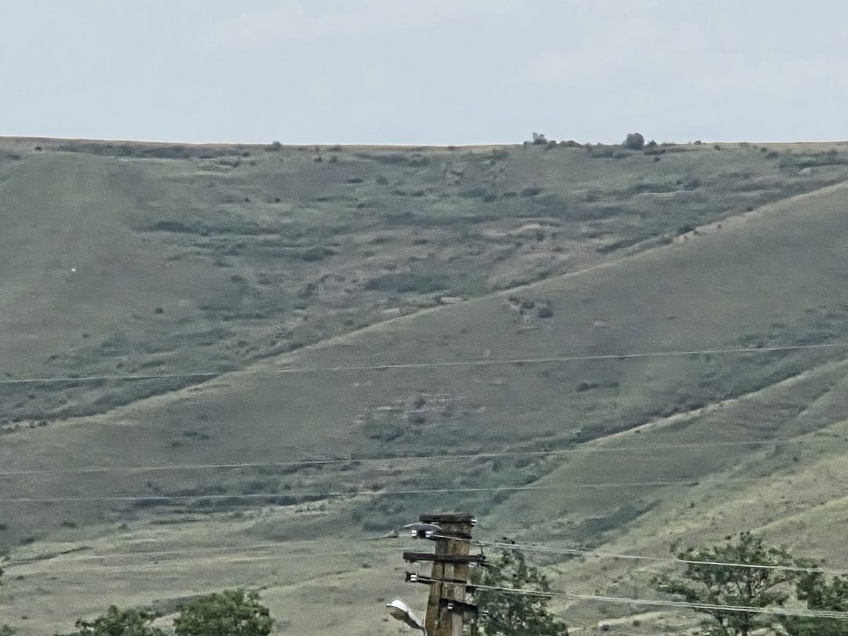Miniatură 2