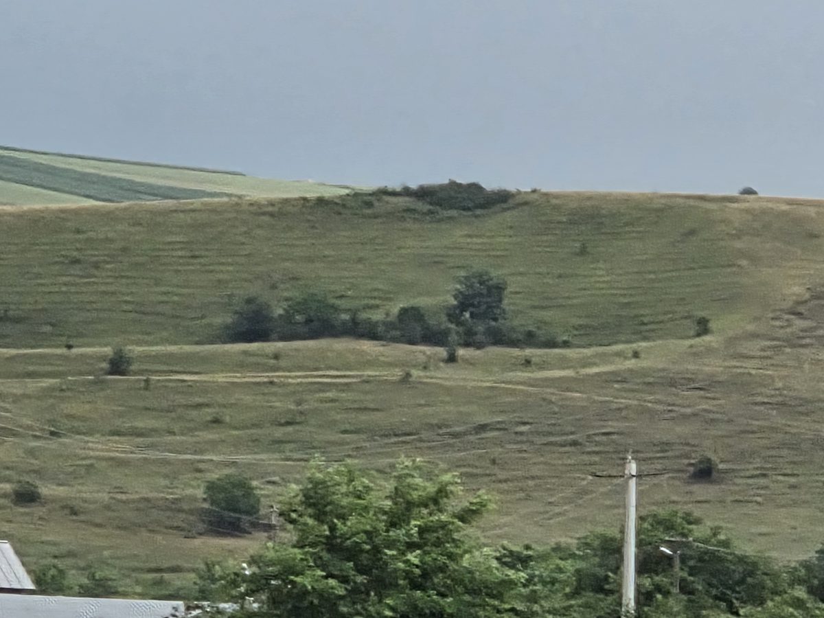 Miniatură 4
