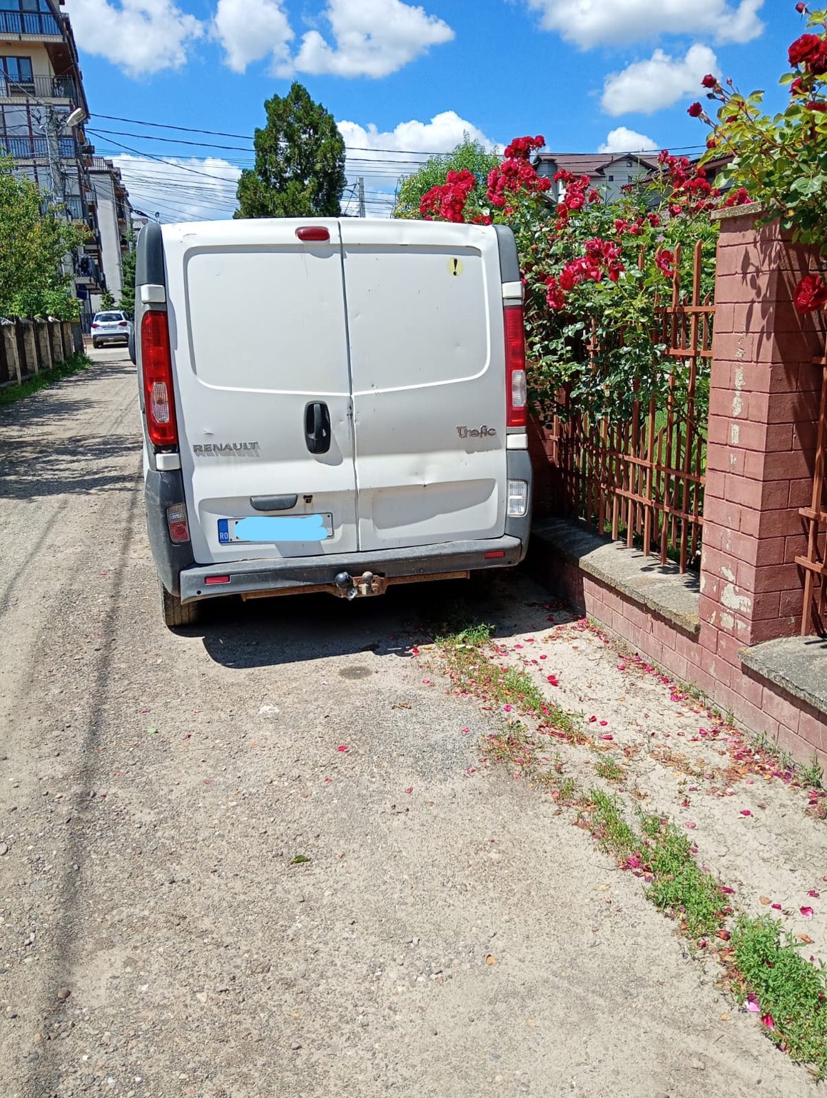 Miniatură 4