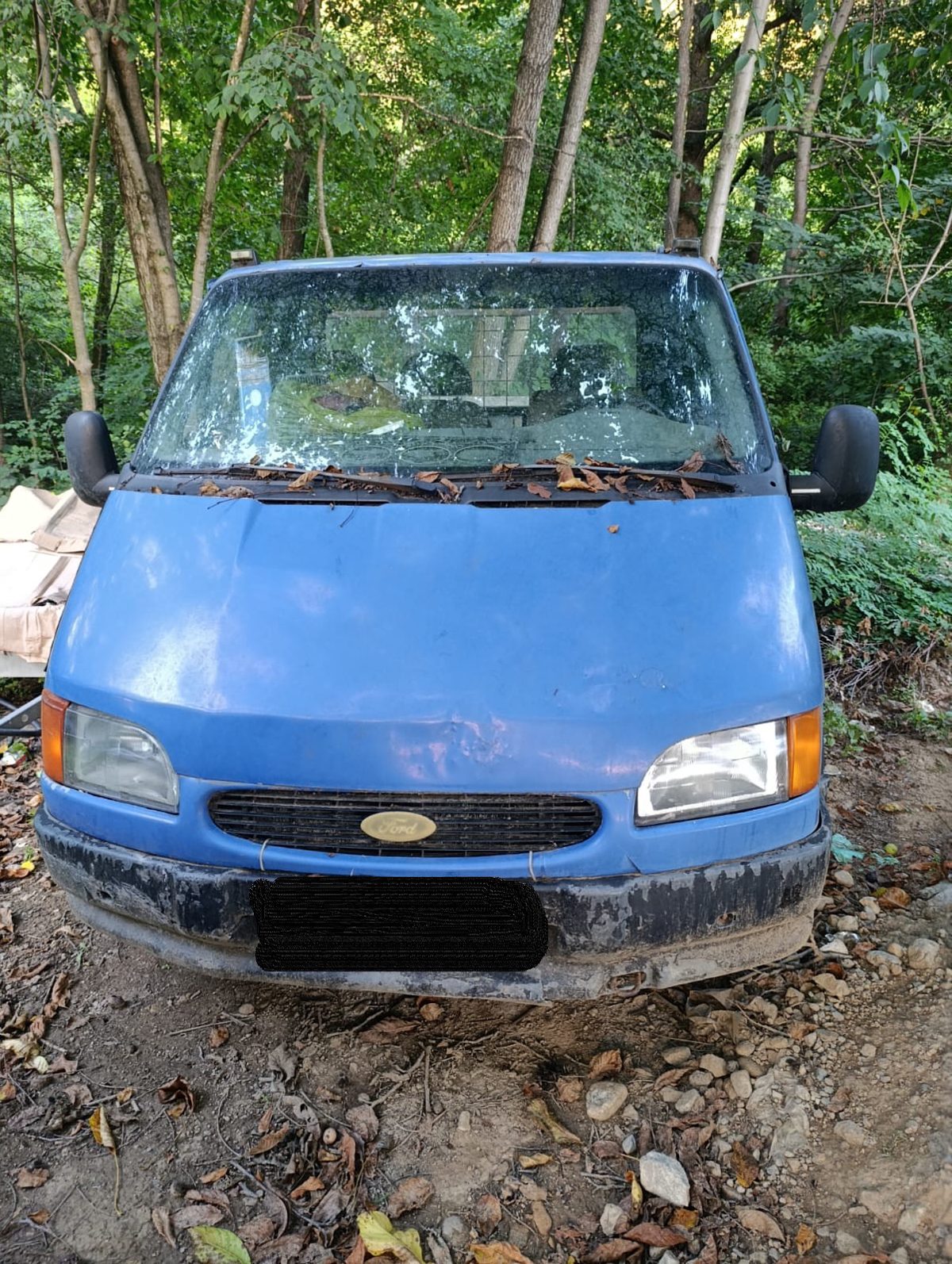 Miniatură 2