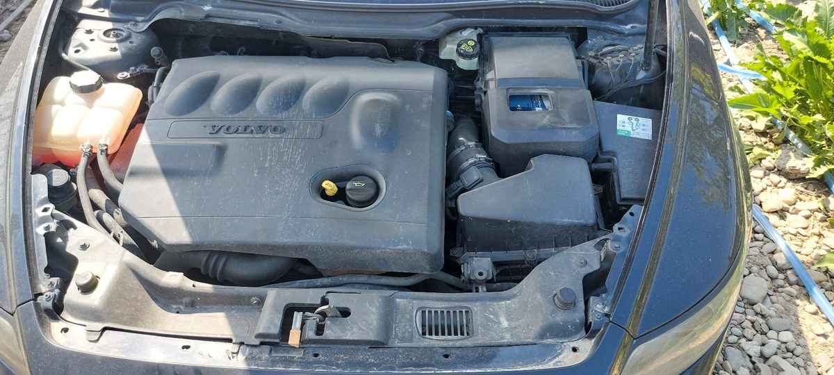 Miniatură 6