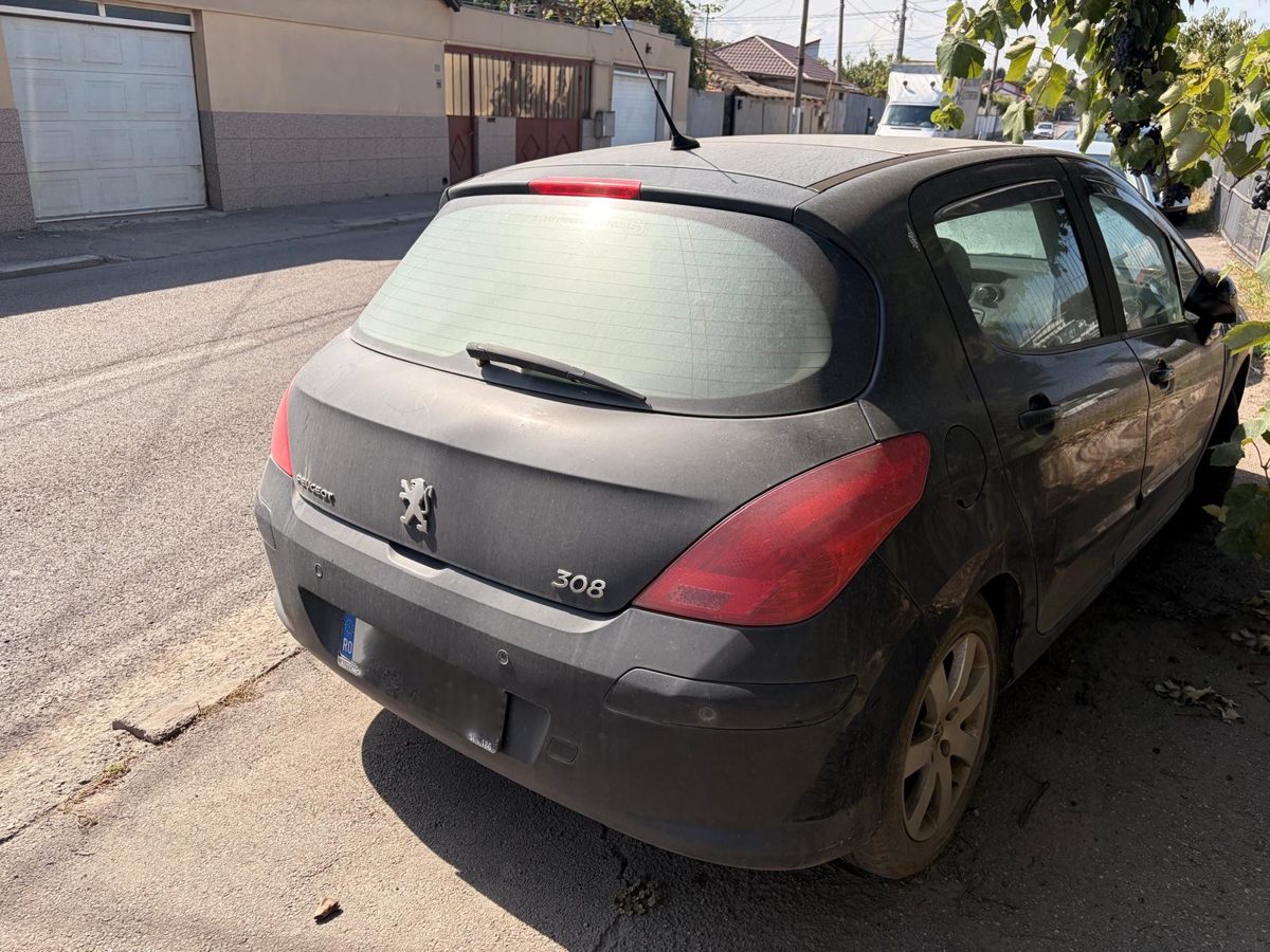 Miniatură 2