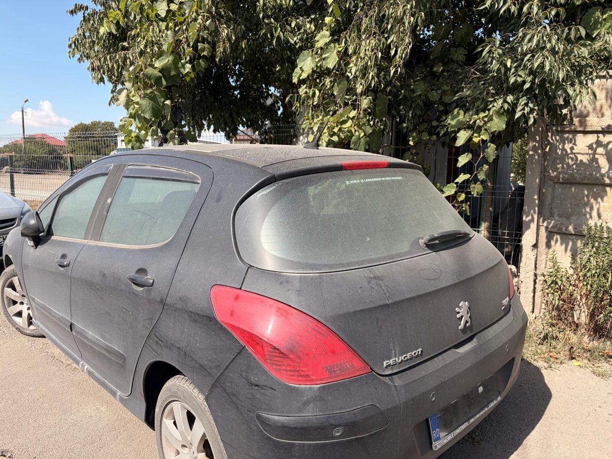 Miniatură 4
