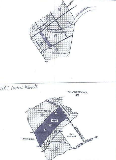 Miniatură 10