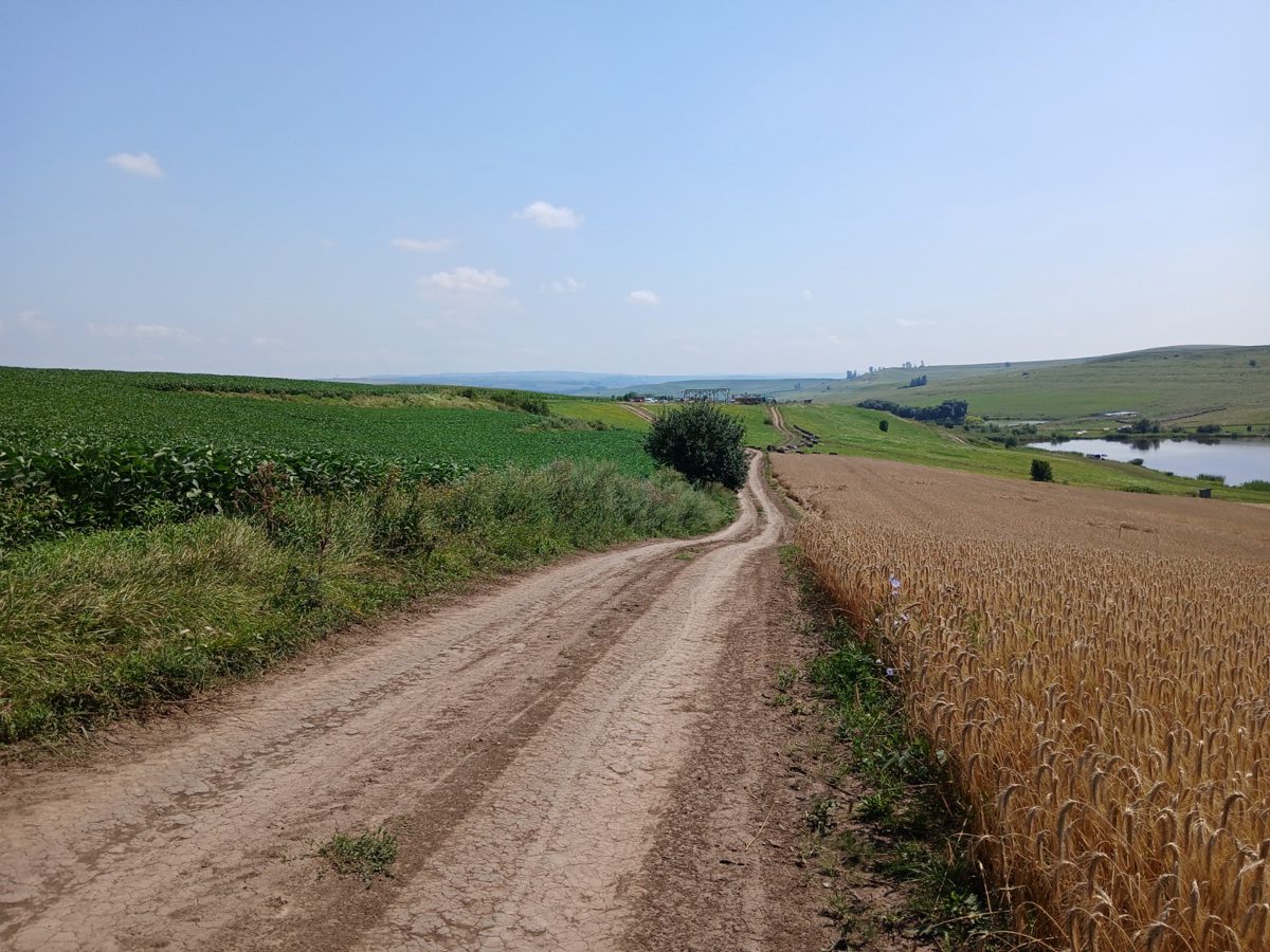 Teren agricol - extravilan in suprafata de 8244 MP 1