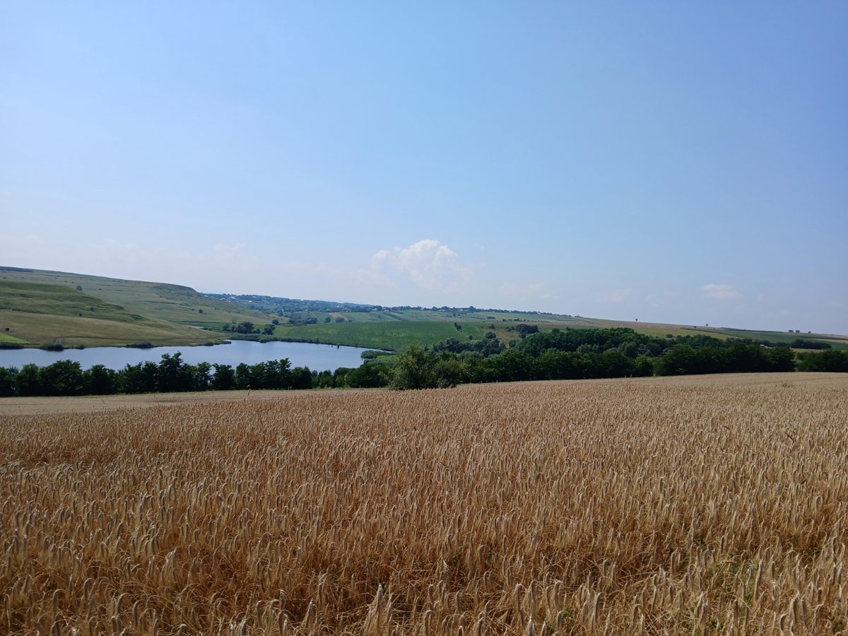 Miniatură 3