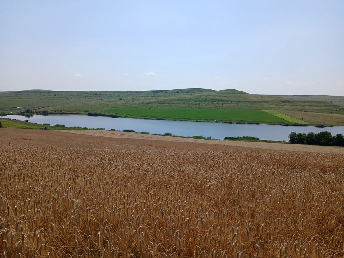 Miniatură 5