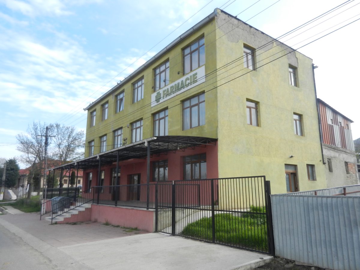 Miniatură 8