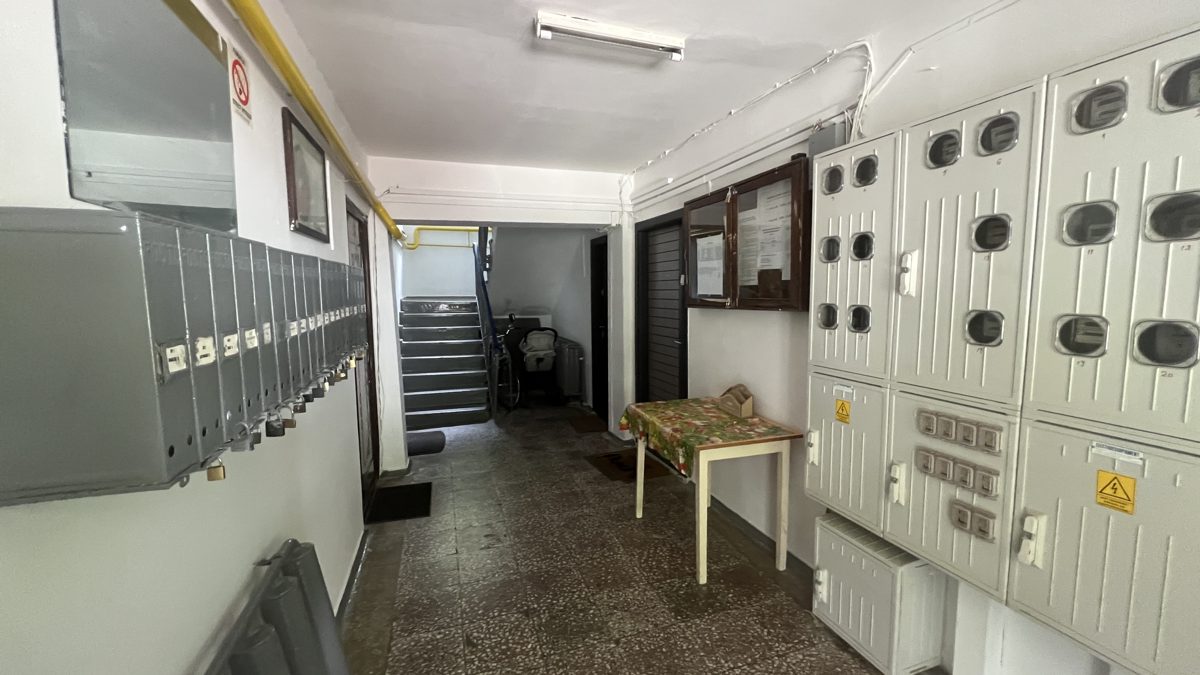 Miniatură 3