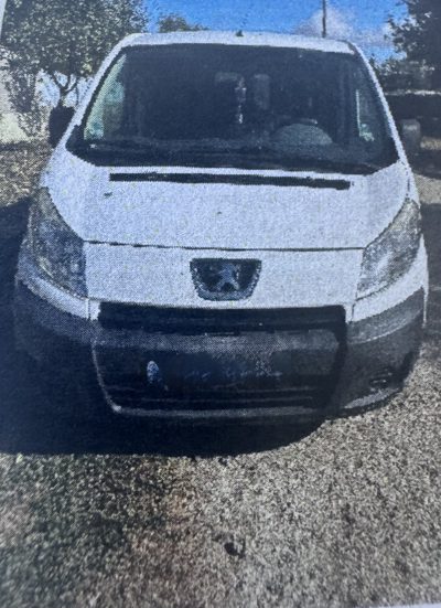 Autoutilitara N1 marca PEUGEOT model EXPERT XURHKH