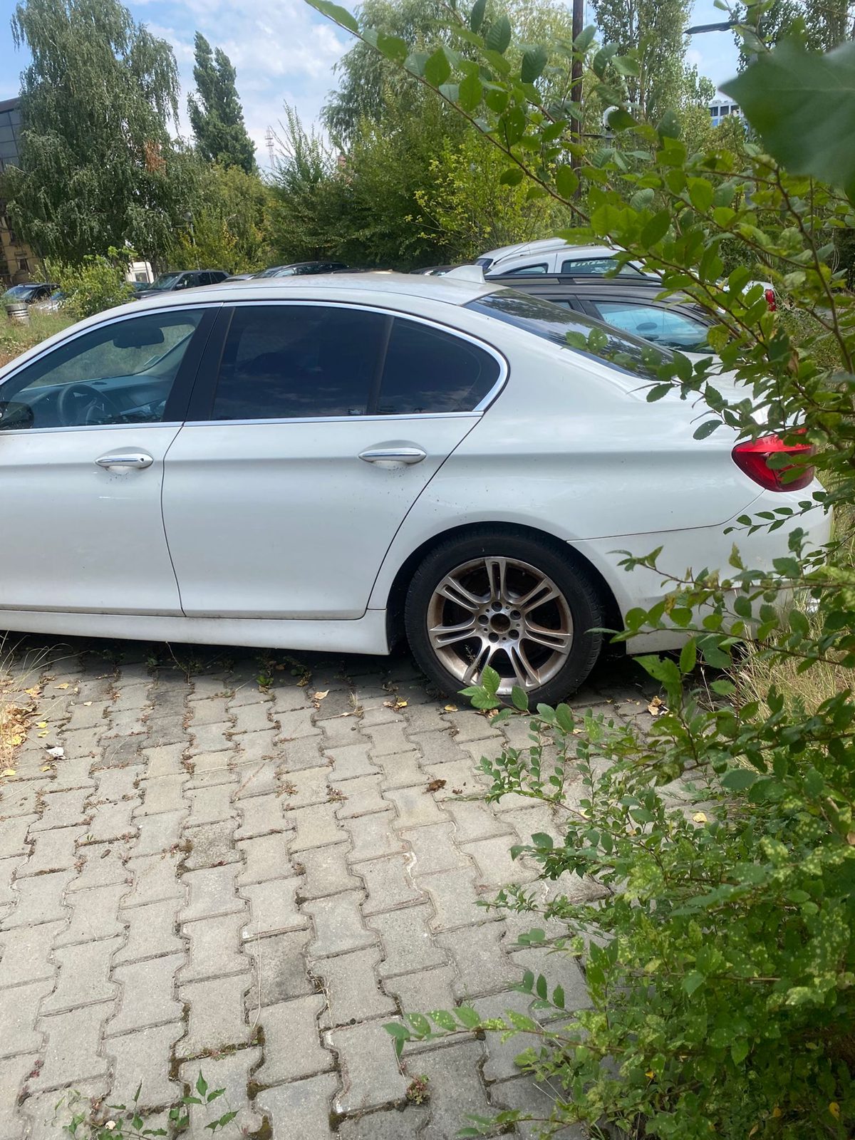 Miniatură 3