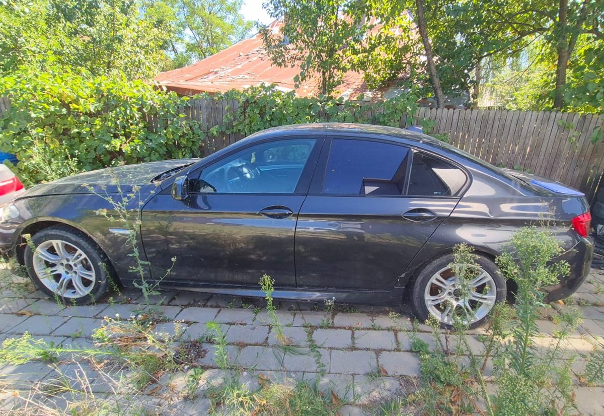 Miniatură 7