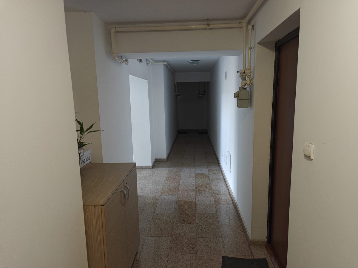Miniatură 3